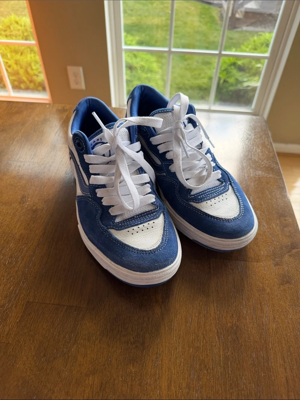 Vans Blue and White Skate Sneakers